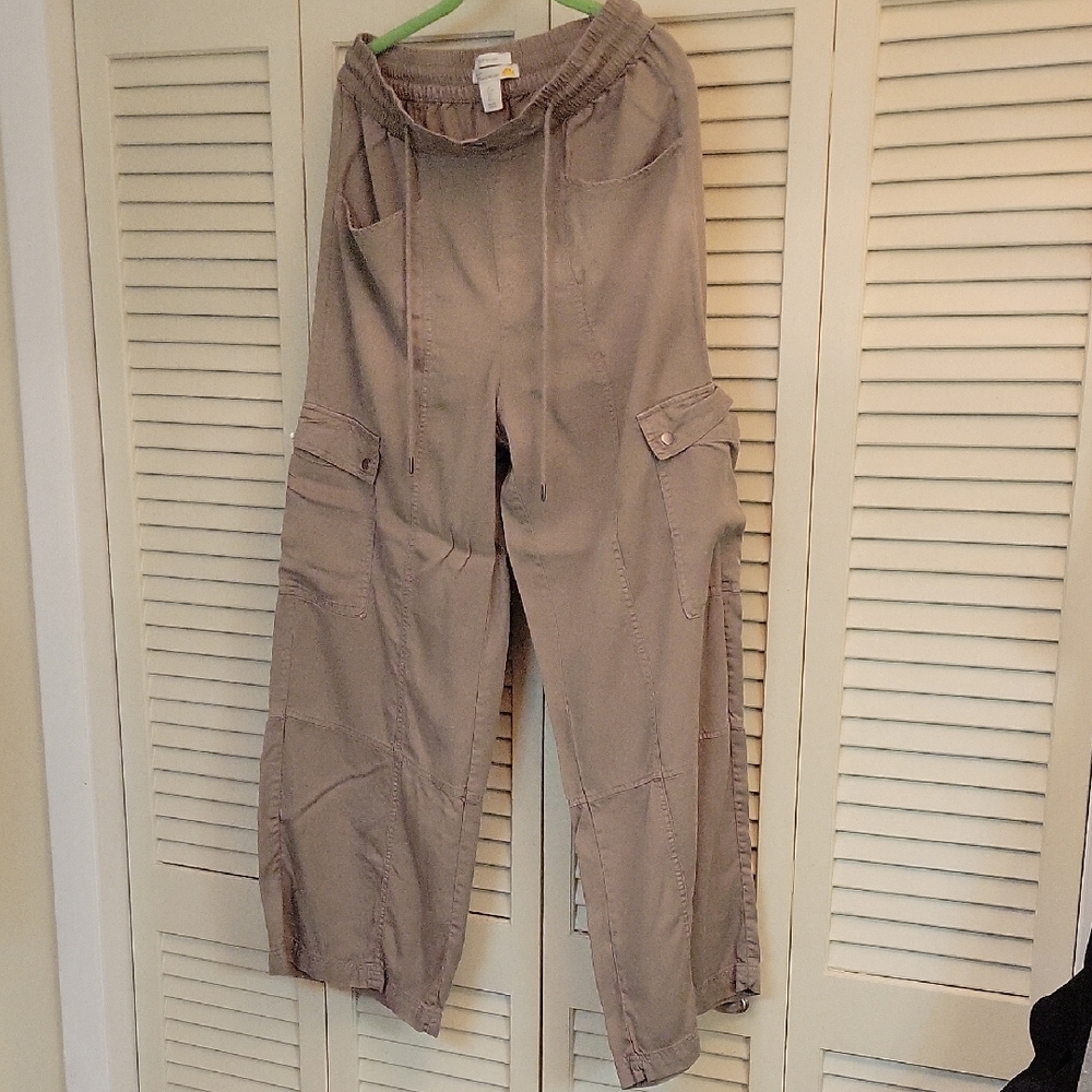 C&C California Taupe Cargo Pants